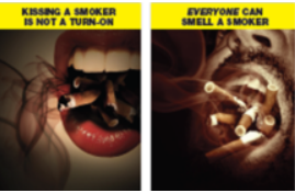 Image - A qualitative exploration of young adult smokers’ responses to novel tobacco warnings